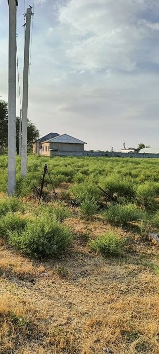 Участка 30 соток