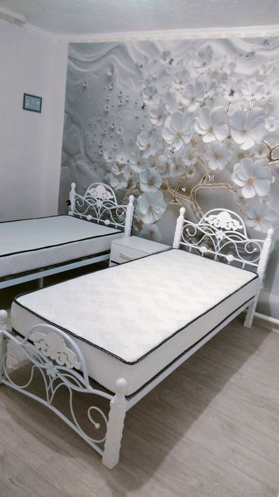 Кровати железные.