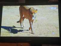 Plasma TV Panasonic diag 105