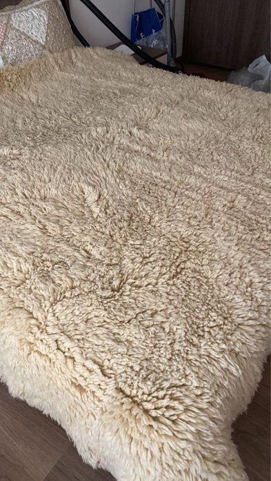 Китеници различни размери