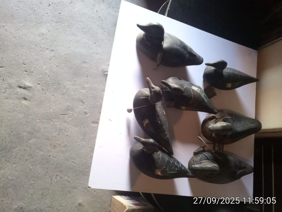 Утки подсадные 7 штук