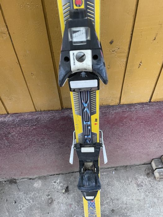 Schiuri FIscher , de competitie