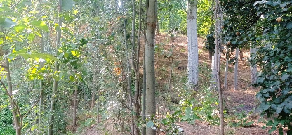 Yer bor sotiladi kadastri bor.