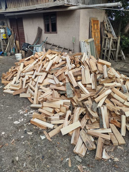 Vand lemne din fag,taiate pentru foc