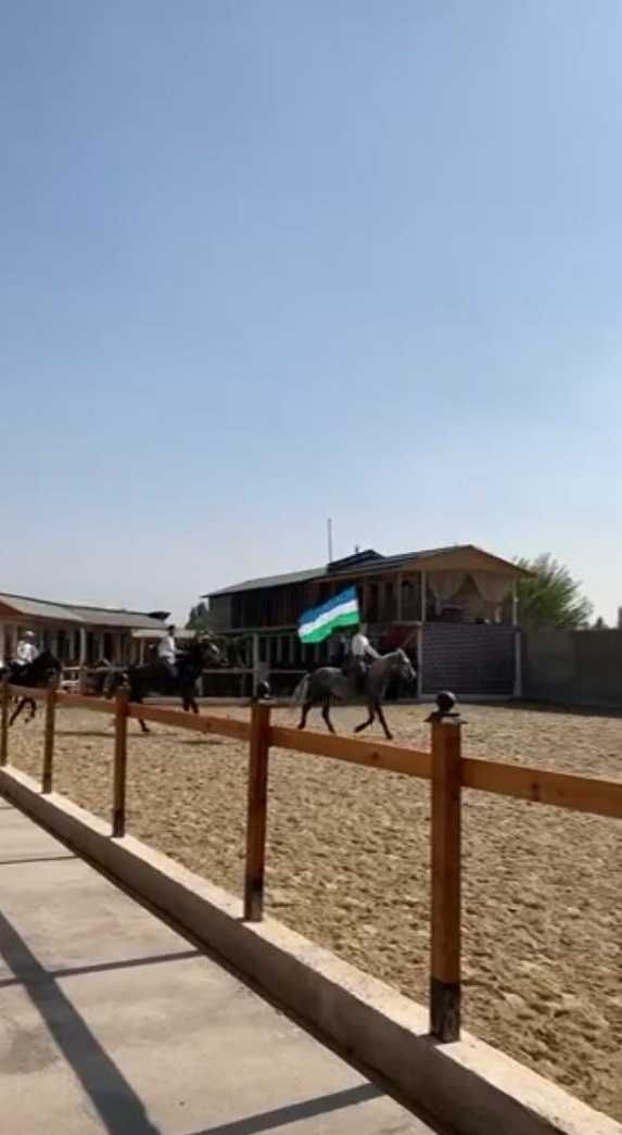 Срочно продаётся конная ферма на 18 сотках земли  в Таш.обл
