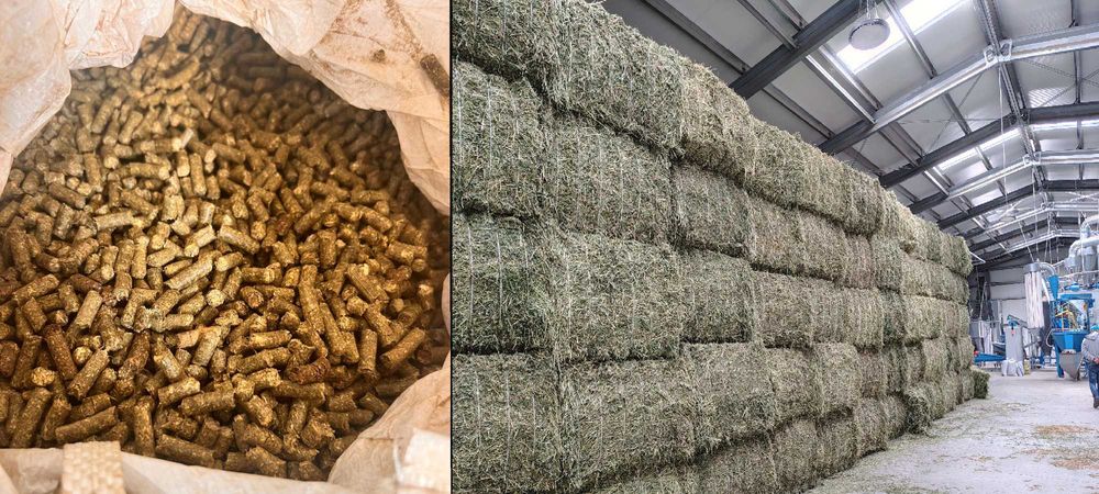 Peleți și baloți de lucernă.