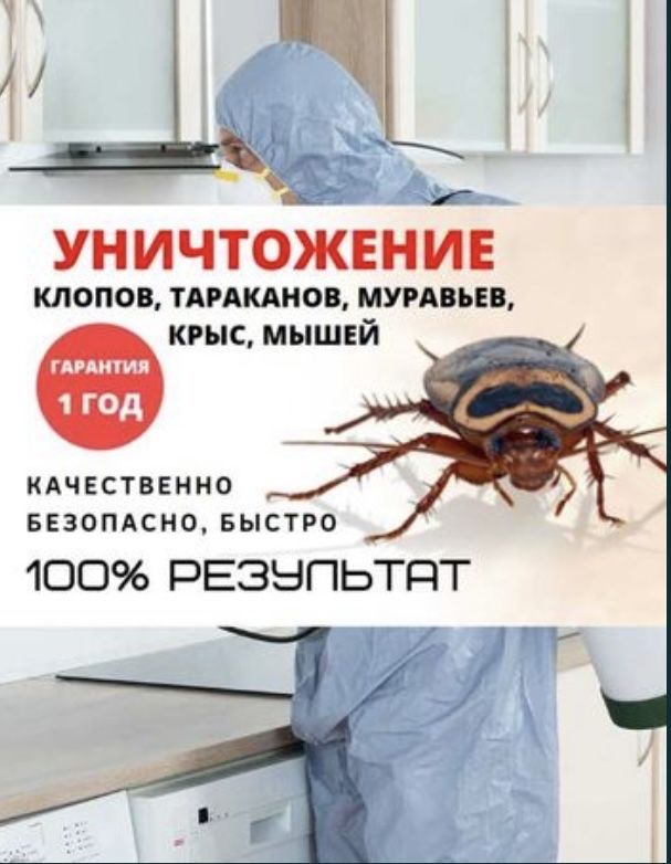 Дезинфекция кандала, клопы, тараканы. Гарантия результата 100%