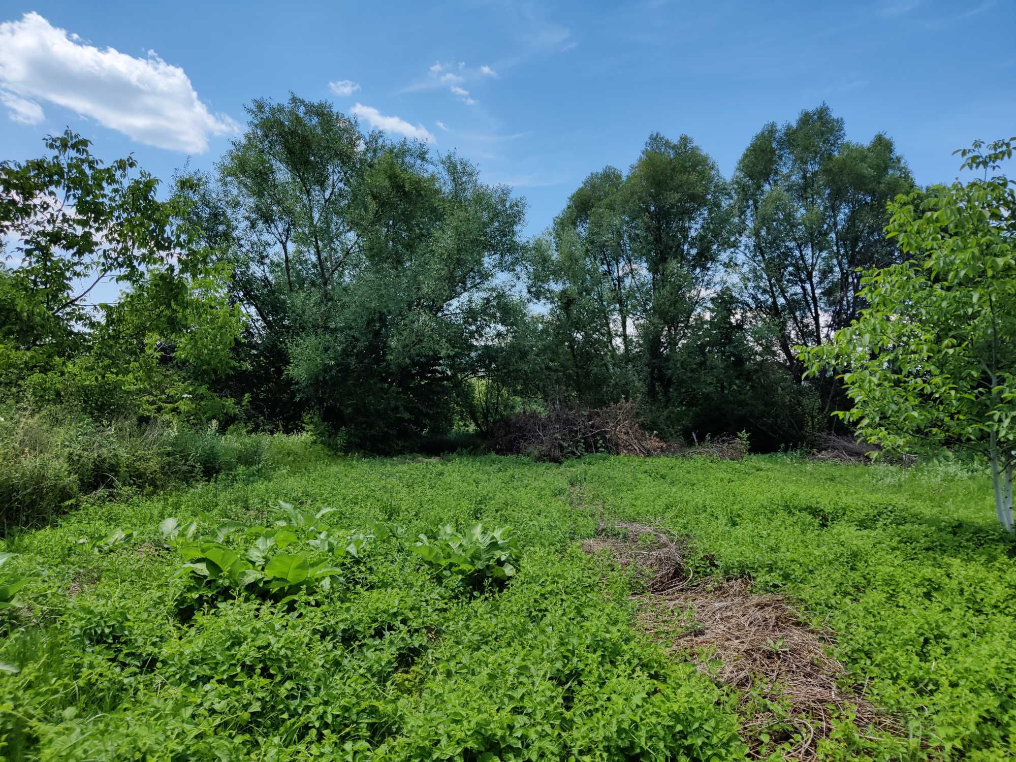 Teren intravilan 1431 mp Str. Crangului Targu Jiu
