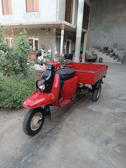 Motorol (муравей)