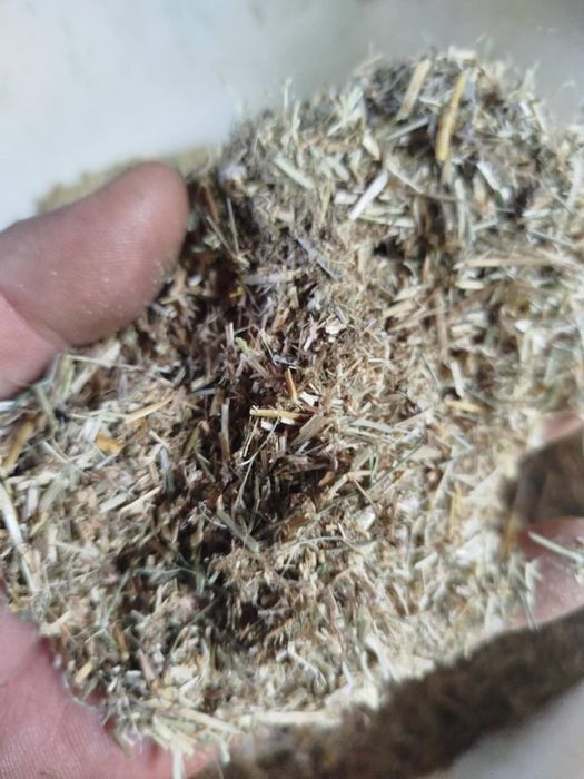 Tocator paie lucerna, nu chinezesc