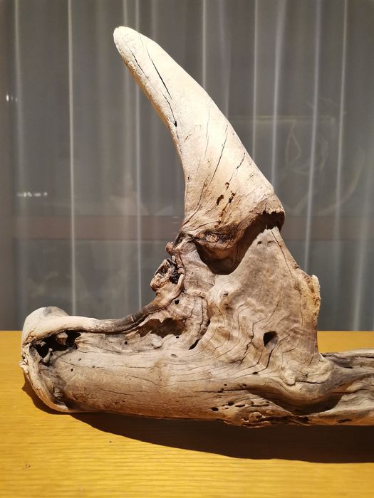 Арт корени, декорция