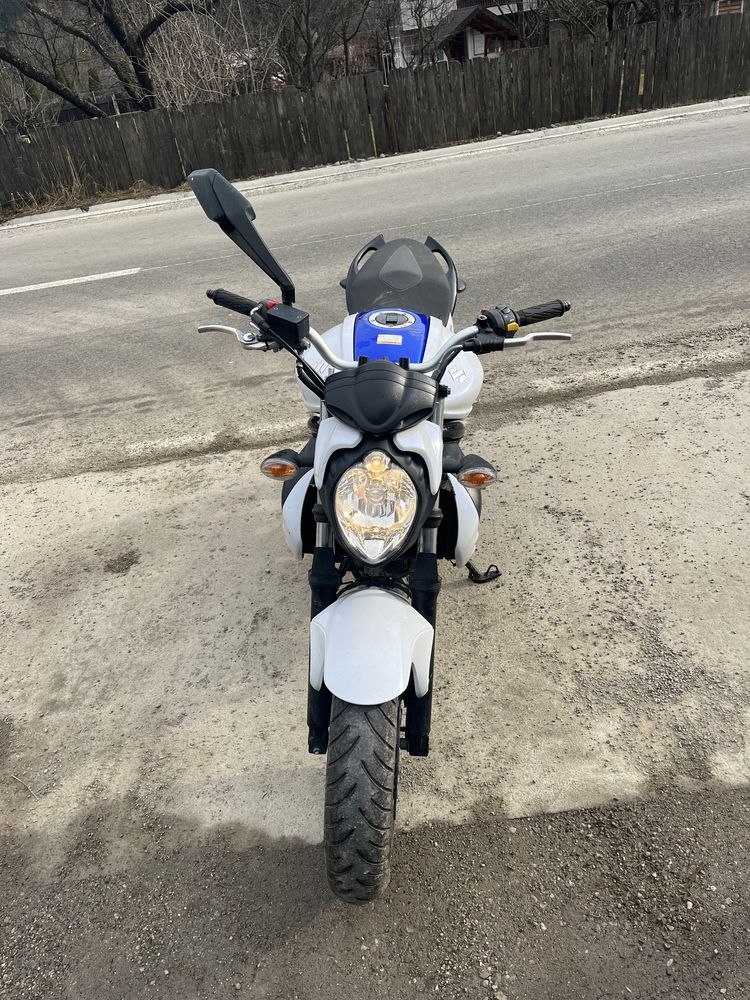 Suzuki Gladius 650