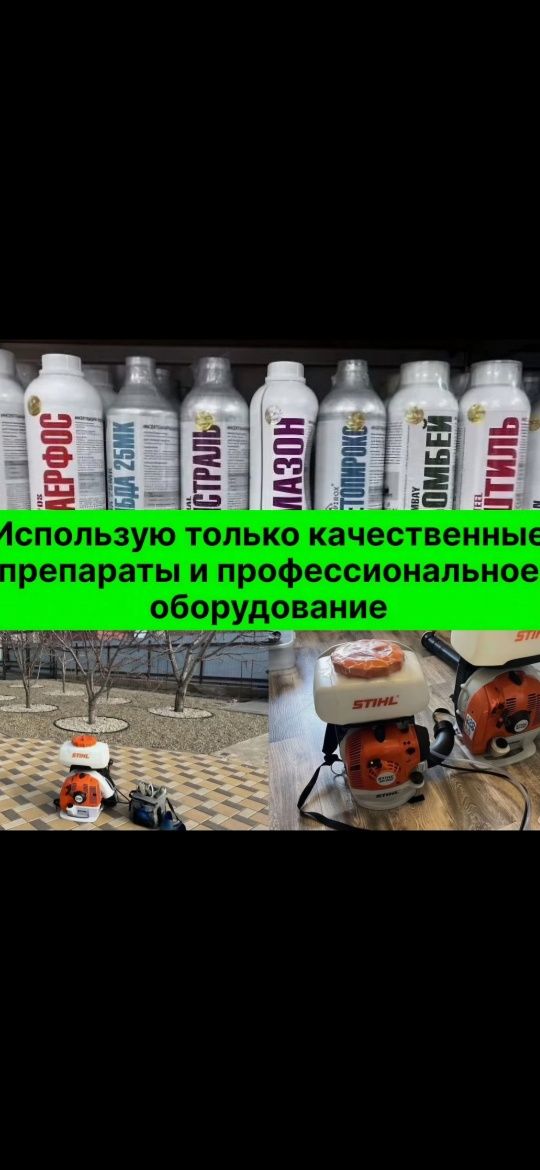 Обработка деревьев, дарахтларни дорилаш!!