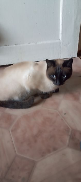 В самые ответственные руки