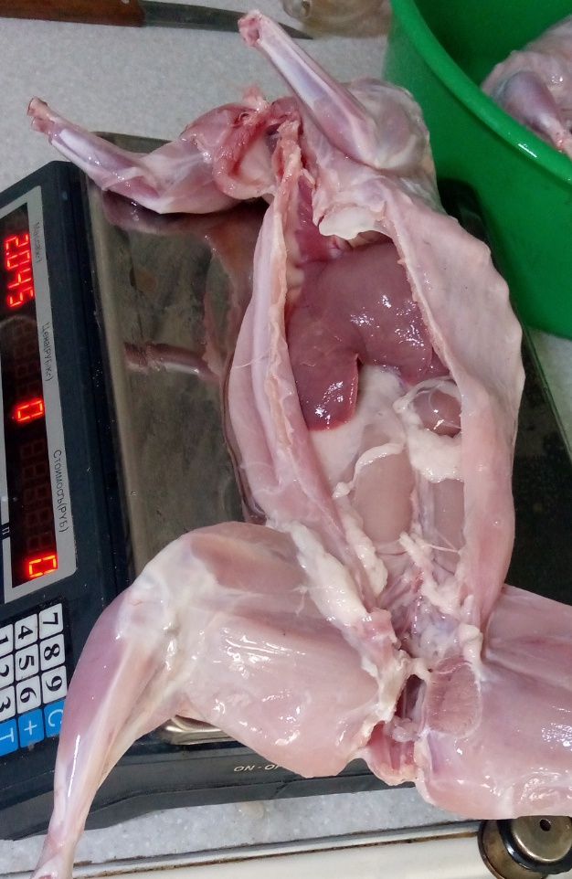 Мясо кролика свежее