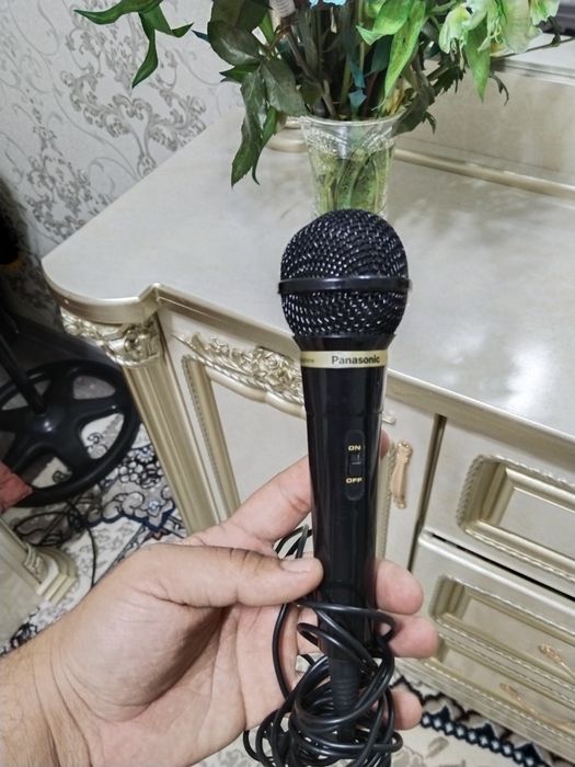 Panasonic Mikrafon RP-VK21