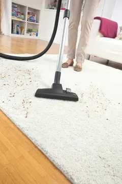 Пылесос с Аква фильтром DS 6