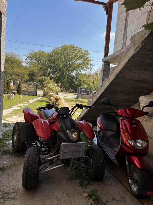 Atv 250 si scuter 49 cm
