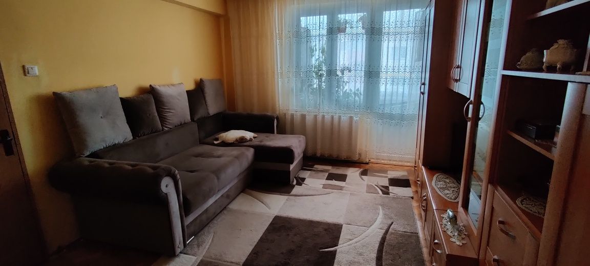 apartamente de vanzare zalau