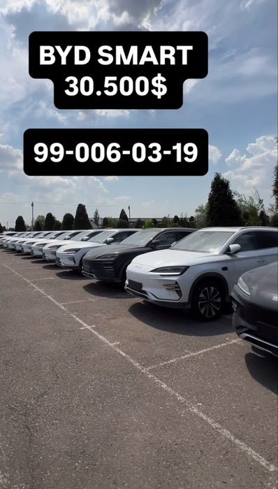 Byd chempion smart
