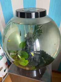 Немецкий аквариум biorb 100 литров! с рыбками растениями