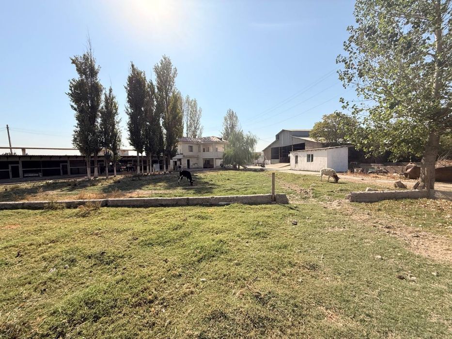 Продается земля, недалеко от города Чирчика, недоезжая платины