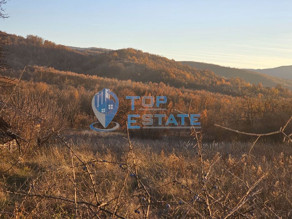 Продава се Парцел в с. Равново, Област Велико Търново - 1070 кв.м за 7 €/кв.м - Снимка #5