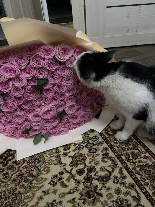 Букеттер 101 роза,