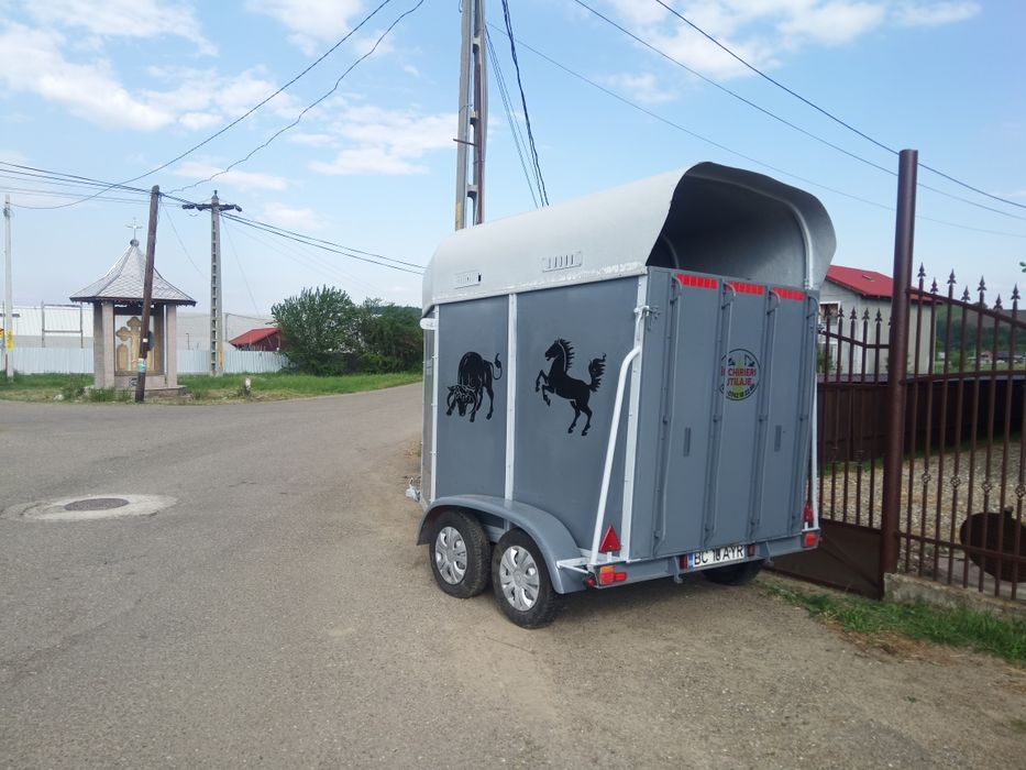 Transport Animale Vii - Moinesti