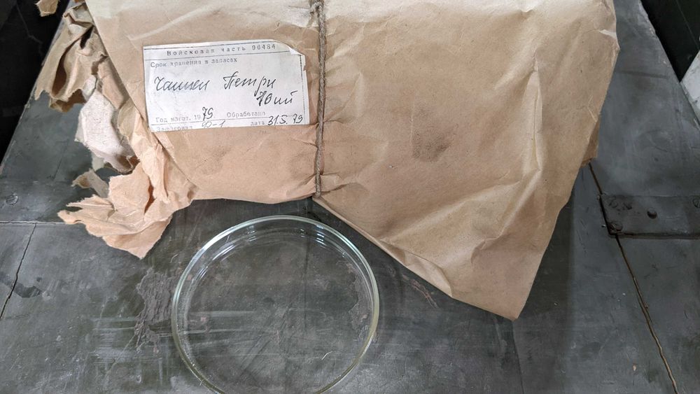 Чашки Петри в контейнере для хранения