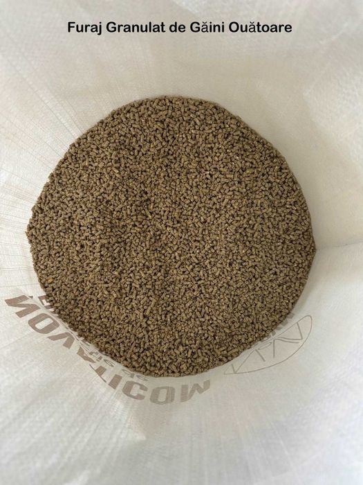 NOVATICOM - Furaje Naturale | Concentrate | Șroturi  pentru Animale