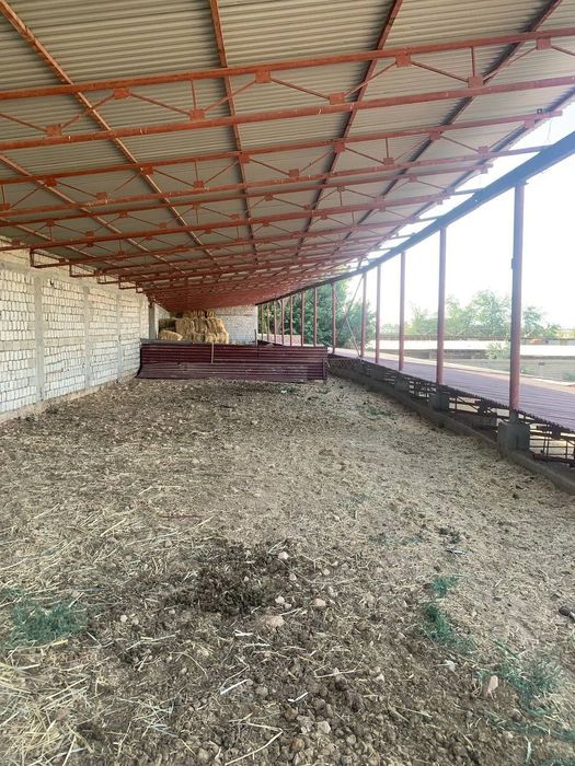 Продаётся готовая ферма Кибрайский район