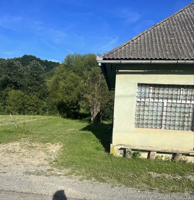 Casa + teren + padure sat Moliset, jud Bistrita Nasaud