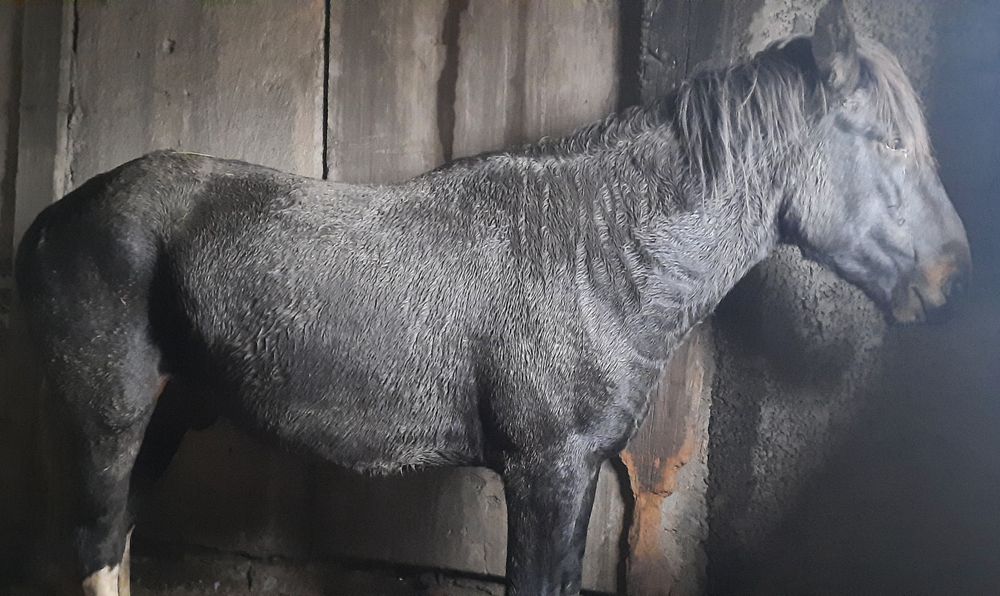 Срочно Продается!!!