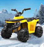 Mini ATV electric Panda BB3201 25W STANDARD #Galben