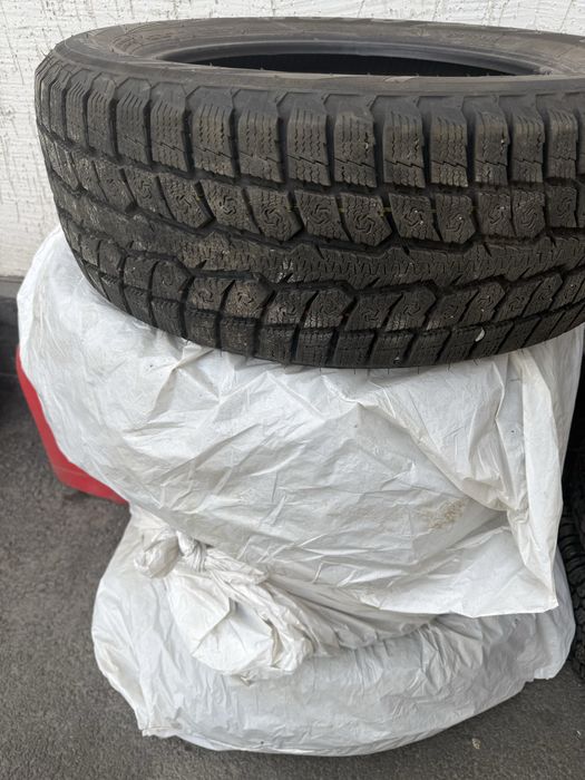 Резина зима TOYO