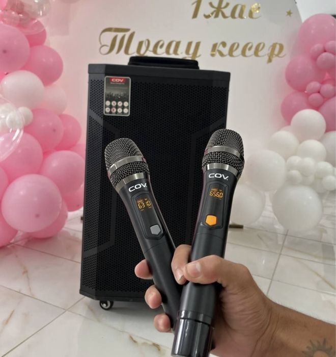 Аренда колонка с микрофоном,кароке прокат