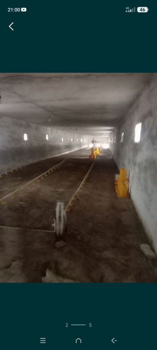 Tovuq ferma cholush tarapta