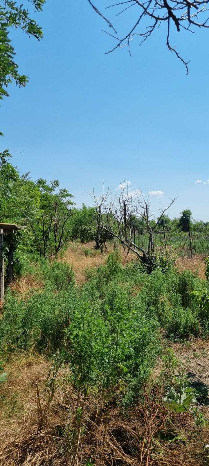 Intravilan 1000 mp cu casa + Arabil 2,5 ha in Delta Dunarii, Partizani