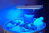 Фотолампа philips лампа от желтушки для новорожденных детей