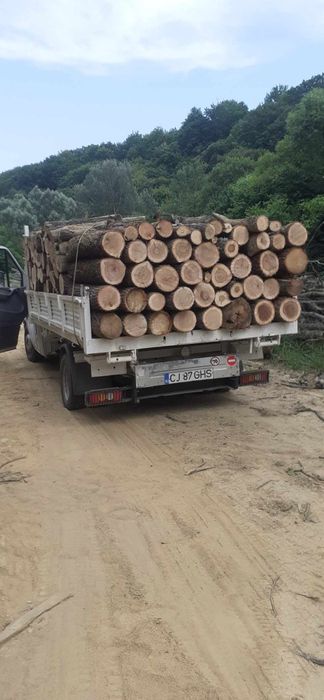 Lemne de foc la 320 metru eseță tare cu transport gratuit