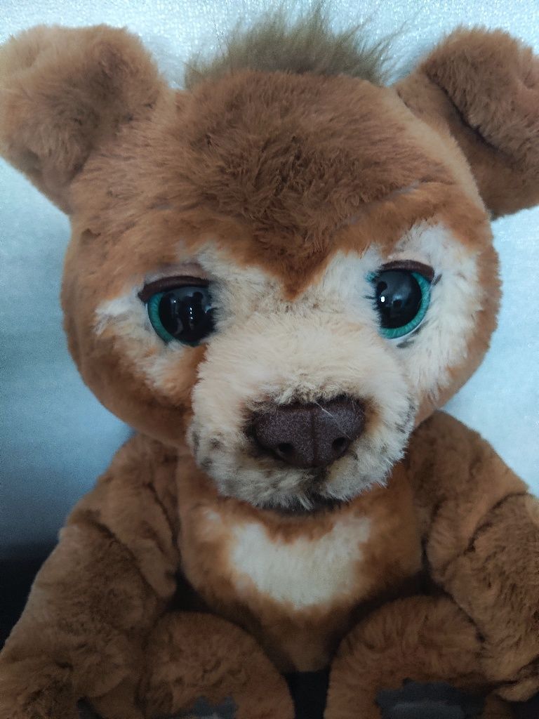 Страхотна играчка  Furreal Friends-Мече, Интерактивно - Cubby