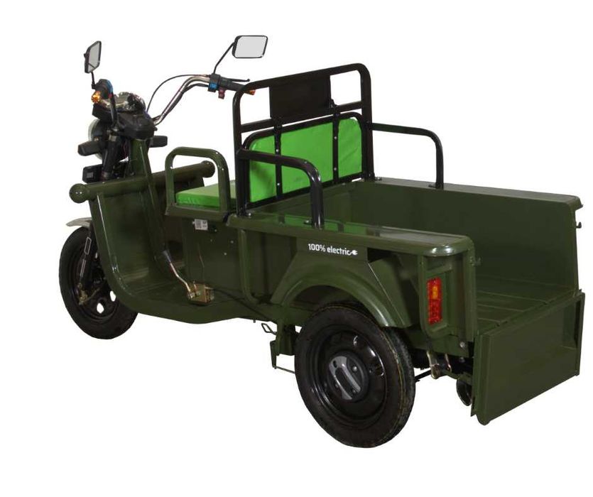 Triciclu electric md CARGO250 cu reductor si in rate fara dobanda