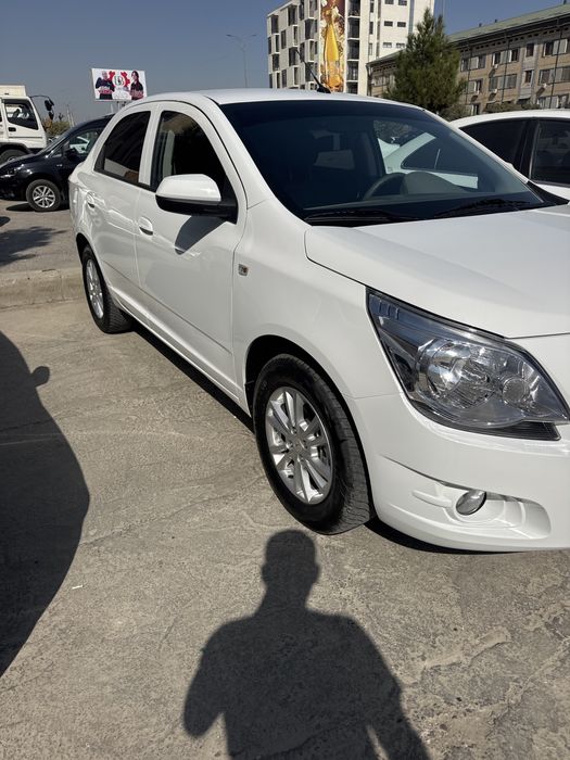 2023 kraska toza probek xalol