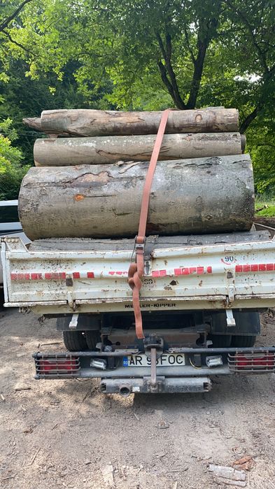 Lemn de foc esenta tare fag, carpen, stejar, cer, salcâm