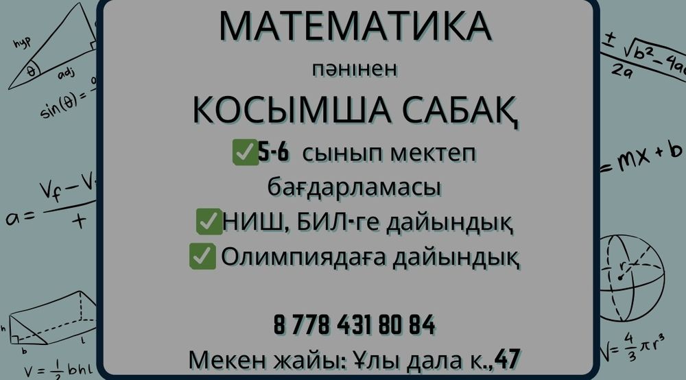 Математикадан қосымша, НИШ, БИЛ-ге дайындық