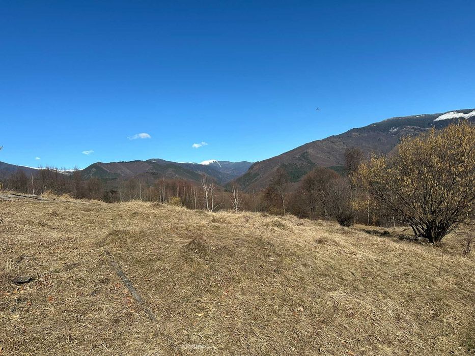 Teren zona montana