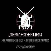 Обработка любых помещений от насекомых  Услуги  помощь по дому