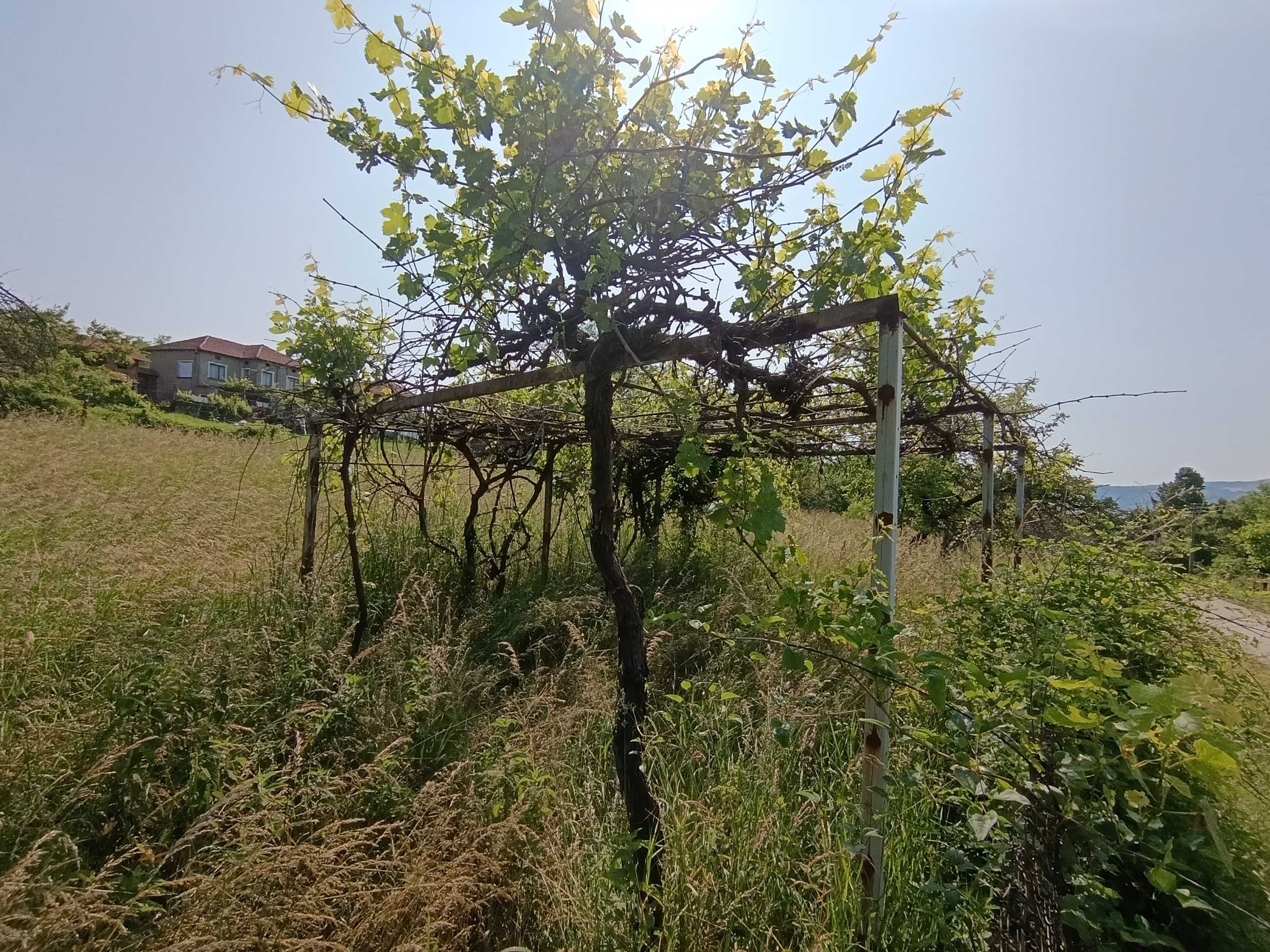 Парцел в регулация