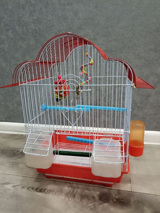 Клетка для попугаев!